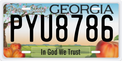 GA license plate PYU8786