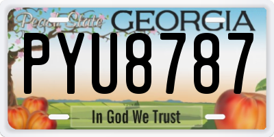 GA license plate PYU8787