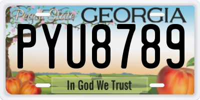 GA license plate PYU8789