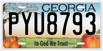 GA license plate PYU8793