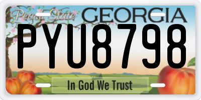 GA license plate PYU8798