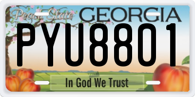 GA license plate PYU8801