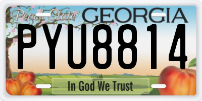 GA license plate PYU8814