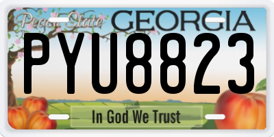 GA license plate PYU8823