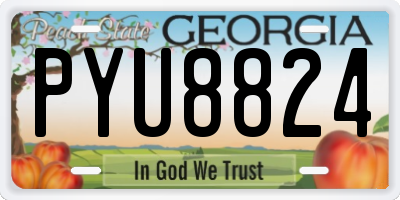 GA license plate PYU8824