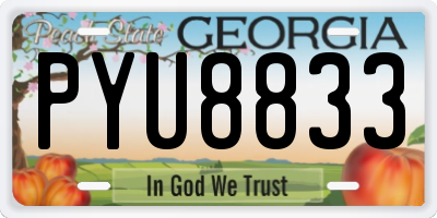 GA license plate PYU8833