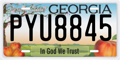 GA license plate PYU8845