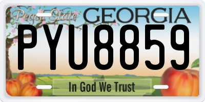 GA license plate PYU8859