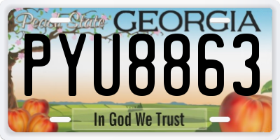 GA license plate PYU8863