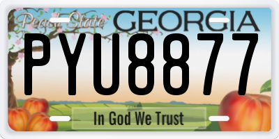 GA license plate PYU8877
