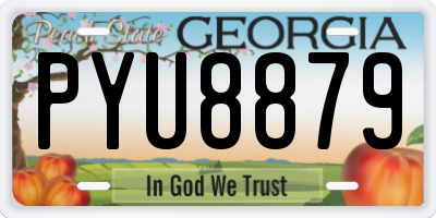 GA license plate PYU8879