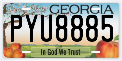 GA license plate PYU8885