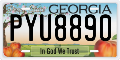 GA license plate PYU8890