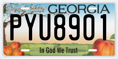 GA license plate PYU8901