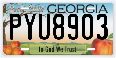 GA license plate PYU8903