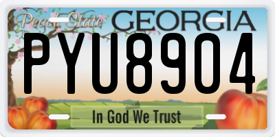 GA license plate PYU8904