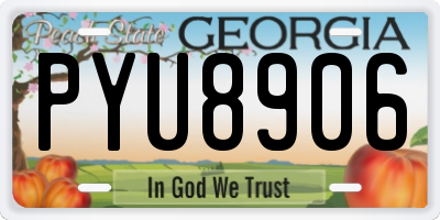 GA license plate PYU8906