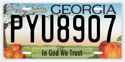GA license plate PYU8907