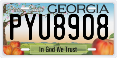 GA license plate PYU8908