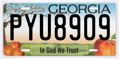 GA license plate PYU8909