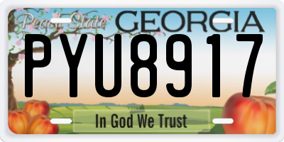 GA license plate PYU8917