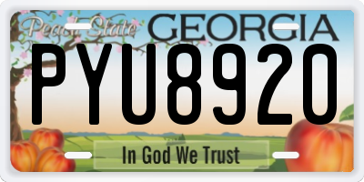 GA license plate PYU8920