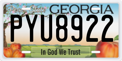 GA license plate PYU8922