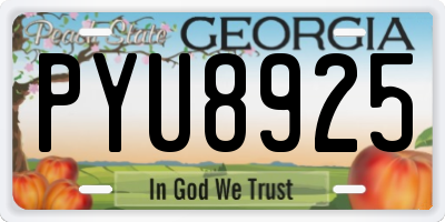 GA license plate PYU8925
