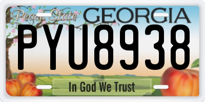 GA license plate PYU8938