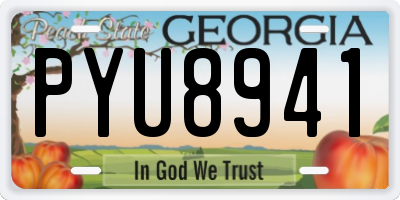 GA license plate PYU8941
