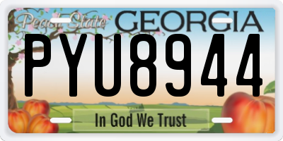 GA license plate PYU8944