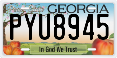 GA license plate PYU8945