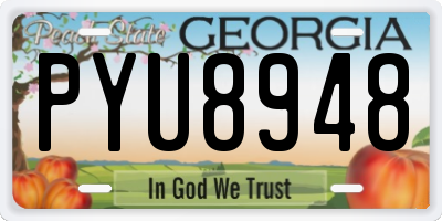GA license plate PYU8948