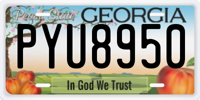 GA license plate PYU8950