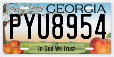 GA license plate PYU8954