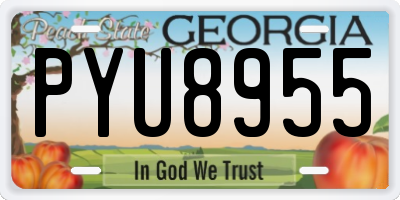 GA license plate PYU8955