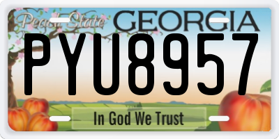 GA license plate PYU8957