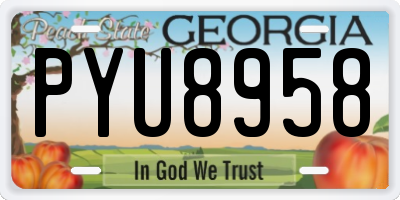GA license plate PYU8958