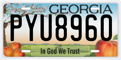 GA license plate PYU8960