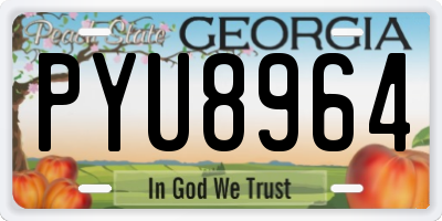 GA license plate PYU8964