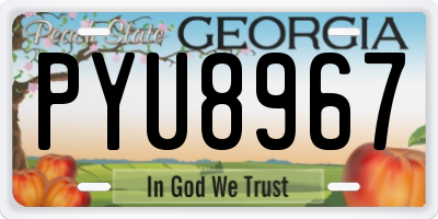 GA license plate PYU8967