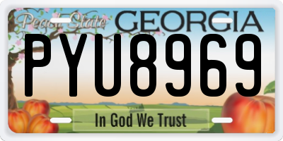 GA license plate PYU8969