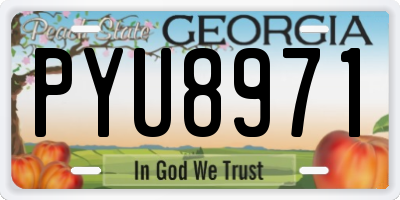 GA license plate PYU8971