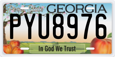GA license plate PYU8976