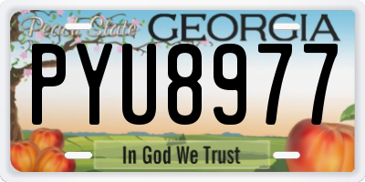 GA license plate PYU8977