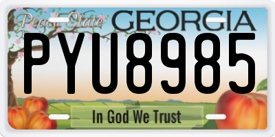 GA license plate PYU8985