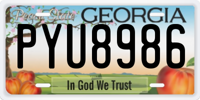 GA license plate PYU8986