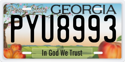 GA license plate PYU8993