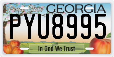 GA license plate PYU8995