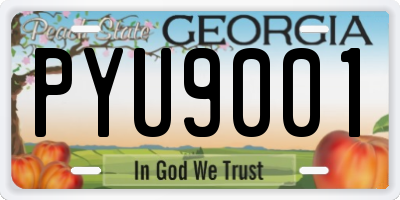 GA license plate PYU9001